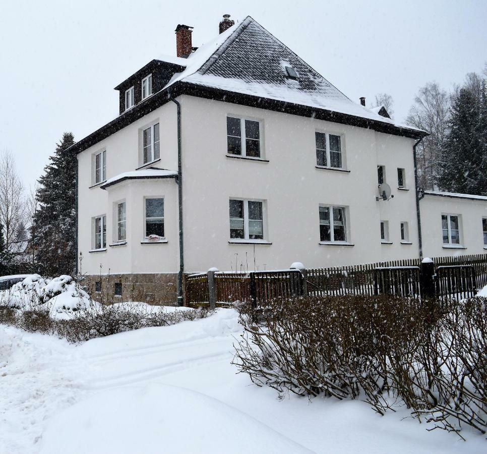 Deine Ferienwohnung Falkenstein  Экстерьер фото